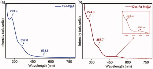 Figure 8. UV–vis spectra of (a) Fa functionalization, (b) immobilization of Dox onto Fa-Mf@A. Mf@A: MnFe2O4@Au nanoparticles; UV–Vis: ultraviolet–visible.