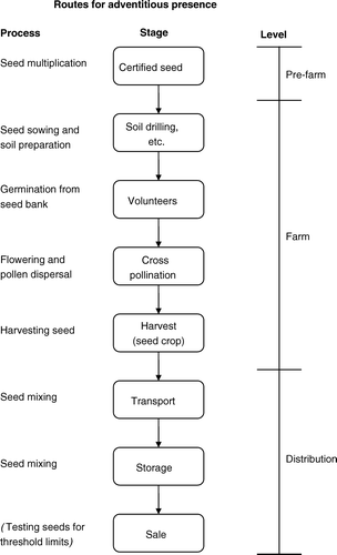 Figure 1.  Routes for contamination of OSR by GMO during production.