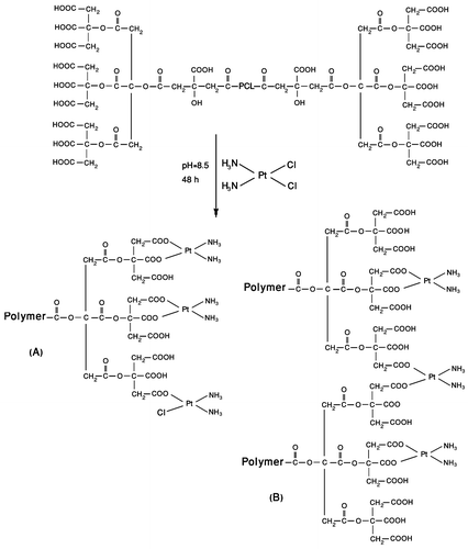 Figure 1 Schematic structure of PCA–PCL–PCA–cisplatin.