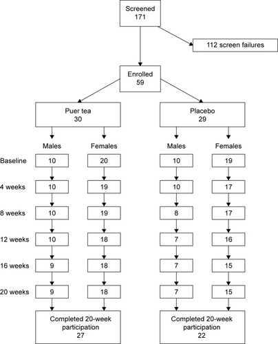 Figure 1 Consort flowchart.