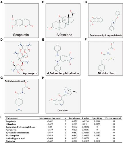 Figure 15 CMap result of ACBD4 in HCC. (A) Chemical construction of scopoletin; (B) Chemical construction of alfaxalone; (C) Chemical construction of bephenium hydroxynaphthoate; (D) Chemical construction of apramycin; (E) Chemical construction of 4,5-dianilinophthalimide; (F) Chemical construction of DL-thiorphan; (G) Chemical construction of aminohippuric acid; (H) Chemical construction of quinidine; (I) Summary table of CMap results.