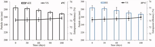 Figure 11. Stability study of optimized formulation (LL-PG-BL-opt) conducted at 4 °C and 25 °C. Experiment performed in triplicate and data shown as mean of three experiments (mean ± SD).