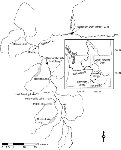 Figure 1. Historical Snake River sockeye salmon (Oncorhynchus nerka) nursery lakes (Stanley Lake, Redfish Lake, Yellowbelly Lake, Pettit Lake, Alturas Lake) in central Idaho. The locations of the former Sunbeam Dam in the upper Salmon River and Lower Granite Dam (solid squares), the final barrier to upstream migration on the Snake River, are indicated. The location of Sawtooth Fish Hatchery, where sockeye salmon returns to the Sawtooth Valley are enumerated and managed, is indicated by a solid triangle.