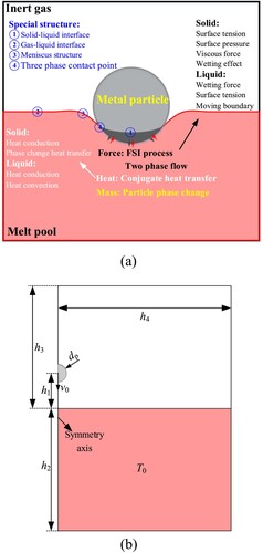 Figure 1. Particle−melt pool interaction: (a) physics phenomena; (b) geometry model (for the axis-symmetric geometry, only half the cross section is built to save computing resource).