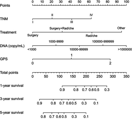Figure 3 Nomogram model predicting 1-, 3- and 5-year survival in NSCLC patients with chronic HBV infection. Abbreviations: GPS, Glasgow Prognostic Score; HBV, hepatitis B viral; NSCLC, non-small cell lung cancer; Rad/che, radiotherapy/chemotherapy.