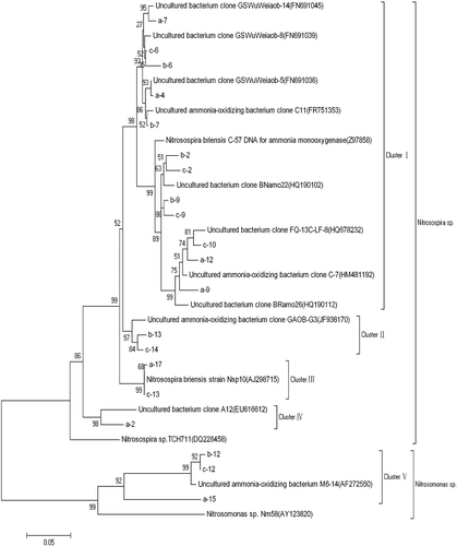 Figure 3. Phylogenetic tree of AOB based on partial DGGE sequences (neighbour-joining tree).