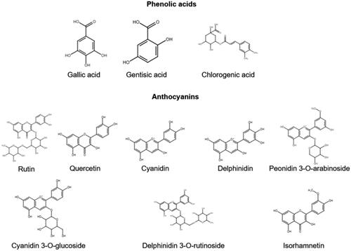 Figure 2. Immune compounds in elderberry supplements. These compounds have various functional effects, and are often used for analytical testing.