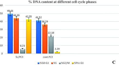 Figure 7. (A) Cell cycle analysis of PC-3 treated with DMSO only. (B) Cell cycle analysis of PC-3 after treatment with 5c (2.34 µM). (C) Graphical representation of effect of compound 5c on cell cycle profile of PC-3 cells.