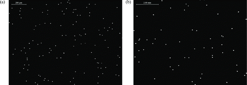 FIG. 3 Fluorescence stereomicroscope images: (a) 3-μm particles on galvanized sheet metal, image size: 1.55 × 1.16 mm; (b) 10-μm particles on galvanized sheet metal, image size: 10.2 × 7.66 mm.