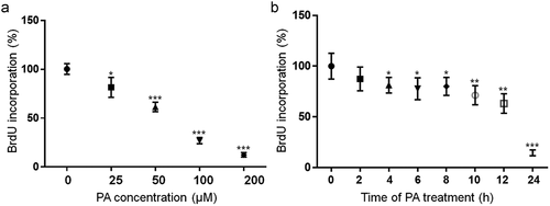 Figure 1. Concentration- (a) and time-dependent (b) effects of PA on BrdU incorporation in N2a cells. a. N2a cells were treated with different concentrations of PA for 24 h (A) or with 200 µM PA for different periods of time (b) in serum free media with 10 µM BrdU added during the last 2 h of treatment, and BrdU incorporation was assayed. The values presented were representative of three independent experiments with triplicate measurements (mean ± SEM). * p < 0.05 vs. control, ** p < 0.01 vs. control; *** p < 0.001 vs. control.