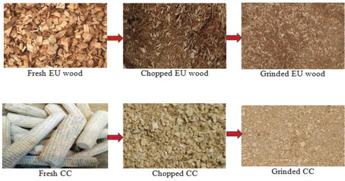 Figure 1. Processing of eucalyptus and corncob.