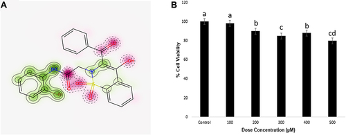 Figure 3 Cardiotoxicity prediction of FA2 (A) was analyzed via using computational tool pred-hERG and Cytotoxicity activity of FA2 compound (B) was checked against hepatocarcinoma cell line (HepG2) at different concentrations of FA2 (100 µM, 200 µM, 300 µM, 400 µM and 500 µM). All data points and error bars represent the mean ± SD of three replicates (n=3). Different letters represent significant differences (P < 0.05) among various treatments and control (DMSO).