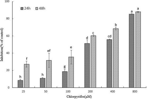 Figure 1. Cytotoxicity of CPF on QSG7701 cells. Cell viability of QSG7701 cells treated with 25, 50, 100, 200, 400 and 800 μM CPF for 24 and 48 h. The cell viability is expressed as the mean values (±SD) of three independent experiments. *p < .05 and **p < .01 represent significant differences relative to negative control.