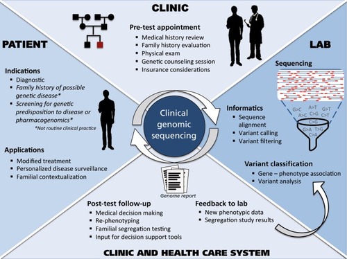 Figure 2. A schematic of the workflow of clinical genomic sequencing.