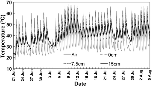 Figure 1 Air (1.5 m above from the ground) and soil (at 0, 7.5 and 15 cm depths) temperatures measured hourly during solarization in the experiment 2. The horizontal dotted line is drawn at 45°C.