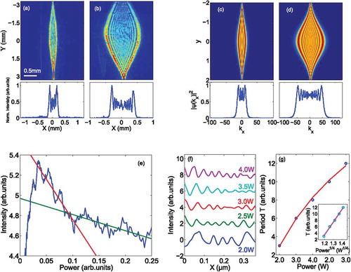 Figure 8. (a, b) CCD image of the light beam at laser powers P=2W and 4W, respectively; the bottom panels show the normalized intensity profile at the maximum waist along Y=0. (c) Analytical solution obtained by Eq. (37) changing Gaussianly the power P in the y direction. (d) As in (c) but for higher powers; the bottom panels show the slice of panel (c) and (d) at y=0, i.e., Eq. (37) square modulus for W=1.5 and γ≃12 and γ≃40, respectively. (e) Log-scale normalized intensity as a function of power, as obtained by slicing along Y a region in panel (b). The slopes of the straight lines give the GV decay rates (γ1=−8±0.4 and γ2=−1.6±0.1). Their quantized ratio is 5.0±0.4 as expected from theory [Citation37]. (f) Intensity oscillations for different power values. (g) Measured oscillations period T as a function of power; continuous line is the fit function T∝P4, as expected by the theory; the inset shows the same curve of (g) with P1/4 as abscissa axis.Reprinted with permission from [Citation40]. Copyright 2016 Optical Society of America.