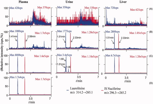 Figure 2. LC-MS/MS chromatograms oflaurolitsine and IS nuciferine in different matrix. (A) Blank biological matrix; (B) LLOQ sample of different biological matrix (laurolistine 1 ng/mL−1); (C) rat plasma of 1 h after i.v. administration laurolistine, rat urine of 0–4 h after p.o. administration laurolistine, rat liver tissue of 2 h after p.o. administration laurolistine; (D) rat plasma of 1 h after p.o. administration laurolitsine.