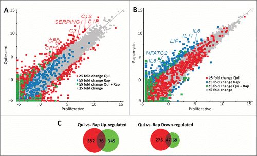 Figure 3. Scatter plots demonstrate different transcript profiles following quiescence induction or rapamycin treatment. Scatter plot comparing transcript abundance in quiescent and proliferating fibroblasts. The number of counts for each transcript identified by RNA-seq for proliferative (X axis) and quiescent (Y axis) fibroblasts was log-base-2 transformed with each square representing a single transcript. Transcripts exhibiting ≥5-fold increase and decrease in quiescent fibroblasts when compared to proliferative samples are marked in red (A). Gray squares represent transcripts that did not change abundance ≥5-fold. The number of counts for each transcript identified by RNA-seq for proliferative (X axis) and rapamycin-treated (Y axis) fibroblasts was log-base-2 transformed with each square representing a single transcript. Gray squares represent transcripts that did not change abundance ≥5-fold. Transcripts exhibiting ≥5-fold increase and decrease in rapamycin treated fibroblasts when compared to proliferative samples are marked in blue (B). Blue squares in panel A represent those transcripts that had a ≥5-fold increase and decrease in rapamycin treated fibroblasts and the red squares in panel B represent those transcripts that had a ≥5-fold increase and decrease in quiescent fibroblasts. Green squares in both panels represent transcripts that had a ≥5-fold increase or decrease under both quiescence induction and rapamycin treatment when compared to proliferative fibroblasts. Red or blue text highlights specific genes within each scatterplot. Venn diagrams demonstrating the number of genes up-regulated (left) or down regulated (right) from quiescent (red circles) or rapamycin-treated (green circles) fibroblasts in comparison to proliferating fibroblasts (C). Numbers in the overlapped areas indicate the number of genes changing expression in both quiescent and rapamycin treated fibroblasts.