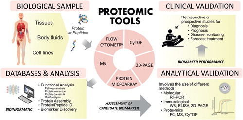 Figure 1. Proteomic tools as powerful approach in the investigation of BCP-ALL and the discovery of new molecular biomarkers. Proteomics involves a series of tools to study the proteome from organisms, tissues, body fluids or cells (left panel). The most common proteomics tools include mass spectrometry (MS), mass cytometry (CyTOF), two-dimensional polyacrylamide electrophoresis (2D-PAGE), flow cytometry, and protein arrays (middle panel). Because of the extensive data produced by proteomics, the use of bioinformatic tools is necessary for the analysis of hundreds of molecules. Next, analytical and clinical validations are the last steps in testing the utility of these molecules in the clinical context (right panel).
