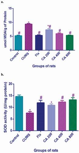 Figure 6. Effect of CA administration on the levels of MDA (a) and SOD activity (b) in hippocampus of rats in different treatment groups. Value were presented as means ± SD, n = 6. *p < 0.05 vs. control group, #p < 0.05 vs. CUMS group.