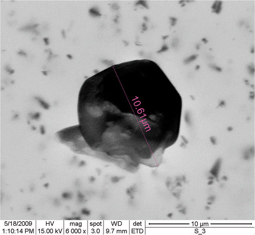 Figure 1. Scanning electron micrograph representing the shape and surface topology of the colloidal sulphur particles.