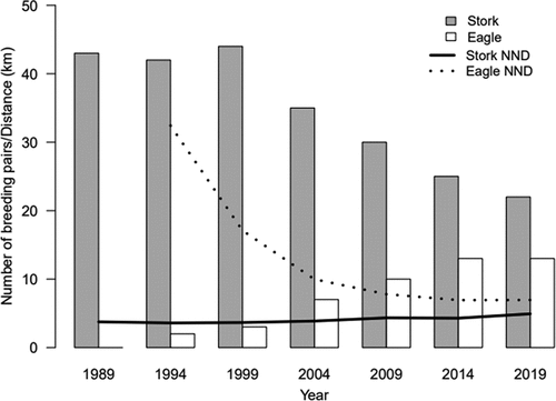 Figure 2. Changes in the numbers of breeding pairs of the black stork and the white-tailed eagle (columns, eagle), and in the near neighbor distances characterizing nests of both studied species (lines, stork).