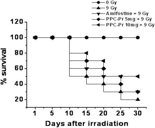 Figure 5. Effect of administration of PPC-Pr on survival rate of animals exposed to 9 Gy gamma radiation.