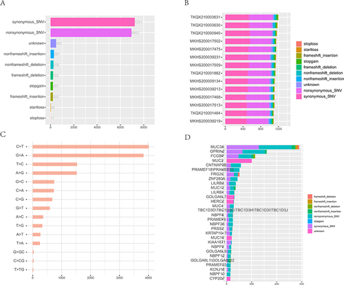 Figure 1 Characteristics of SNV in HCM patients. (A), Statistics of exon region variation type. Different colors represent different mutation types. (B), Mutation signatures of different mutation types in different samples. (C), Top 15 mutation base type statistics. (D), Top 30 variant genes.