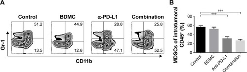 Figure 6 Combination treatment inhibited MDSC proliferation in s.c. tumor models.