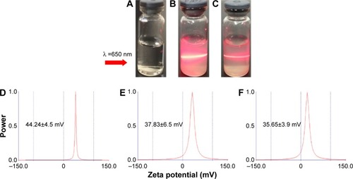 Figure 7 Tyndall effect of ND (B) and NDCONH(CH2)2NH-VDGR (C). Water (A) served as control. The zeta potential of ND (D), NDCONH(CH2)2NH-VDGR (E), and NDCONH(CH2)2NH-VDGR/survivin-siRNA (F).Abbreviations: ND, nanodiamond; siRNA, small interfering RNA.