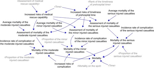 Figure 7 Subsystem of casualty outcomes.