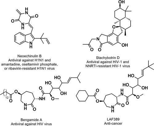 Figure 4. A few examples of antiviral MNPs and derivatives isolated from marine bacteria and fungi.