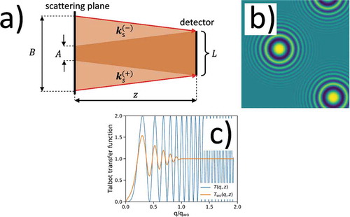 Figure 6. (a) Fourier Optics approach and (b) direct space approach to (c) the effects of the finite sensor size on the Talbot oscillations. The Talbot oscillations are reported as a function of the reduced Fourier wave vector q/qwo (see text for a definition of qwo). From plot (a), it can be seen that β in EquationEquation 10(10) Two(q,z)=1+β(q,z)T(q,z)−1q≤qwo1q>qwoβ(q,z)=L−2qz/kL+2qz/k,(10) is given by β=A/B, namely the ratio between the volume of the sample that scatters correlated waves at ±q and the total volume of the sample intercepted by back-propagating the sensor with finite size L along the ks(±) directions. Parameters of simulations: λ=0.1 nm, z=50 cm, L=33μm