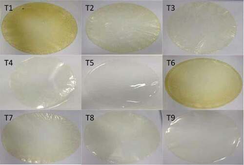 Figure 1. Nile tilapia protein isolate films