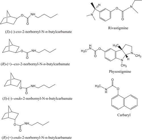 Figure 2.  Structures of (R)-(+)-exo-, (S)-(–)-exo-, (R)-(+)-endo-, (S)-(–)-endo-2-norbornyl-N-n-butylcarbamates, rivastigmine, physostigmine, and carbaryl.