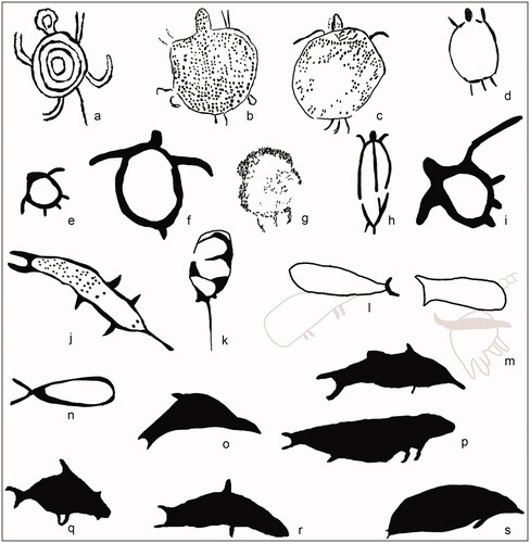 Figure 11. Marine faunal depictions including turtle (marine and freshwater; a–i), sawfish (j) and stingray (k), and less-diagnostic marine mammals and fish (l–r); note the greyed motifs occur on the same panels as the motifs shown.