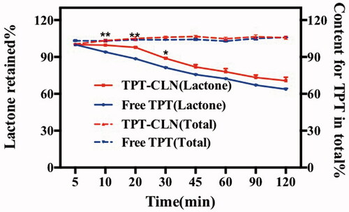 Figure 2. Results of in vitro stability at 37 °C using artificial intestinal juice as release medium (pH 6.5). Dotted line: TPT-CLN and free TPT were placed in artificial intestinal juice, the content of topotecan determined with the total of the topotecan (lactone plus carboxylate forms) as function of time; solid line: TPT-CLN and free TPT were placed in artificial intestinal juice, the content of topotecan determined with the lactone forms as function of time in artificial intestinal juice (pH 6.5). Topotecan was measured using HPLC, date point represent the mean ± SD (n = 3).
