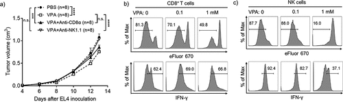 Figure 3. VPA impairs EL4 tumor progression via anti-tumor immune cells