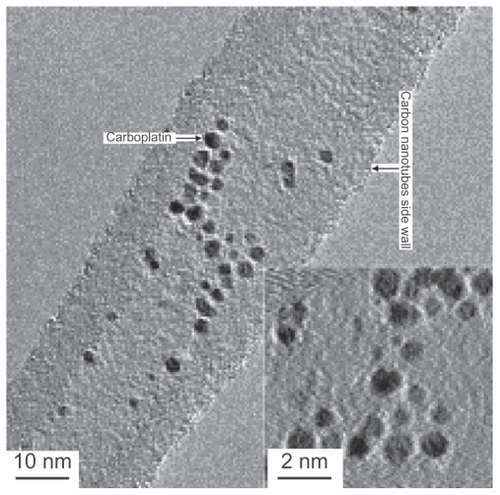 Figure 3 Loading anticancer drugs onto carbon nanotubes. A wet chemical approach is applied in which the capillary is the driving force for incorporating the anticancer drugs into the open-ended carbon nanotubes.Citation35Adapted from Nanomedicine (Lond), Hampel et al, Vol 3, Issue 2, pp. 175–182. Copyright (2008) Future Medicine Ltd. Reproduced with permission.