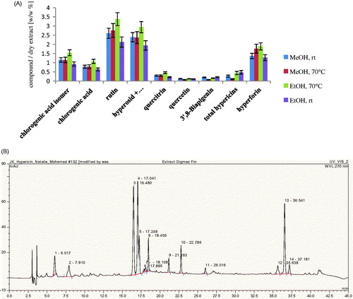 Figure 2. Phytochemical analysis. (A) Analysis of the extracts (ASE®100) using a Shimadzu spectrophotometer for total hypericins and HPLC-DAD for all other compounds. Hyperoside and isoquercitrin, being similar, were not separated under the present chromatographic conditions. MeOH: methanol; rt: room temperature; EtOH: ethanol. (B) HPLC-DAD chromatographic profile of the 80% ethanol extract at 70 °C (HE) using DIG-MAZ. 1, chlorogenic acid isomer at Rt 6.02; 2, chlorogenic acid at Rt 7.91; 3, rutin at Rt 16.48; 4, hyperoside at Rt 17.04; 5, isoquercitrin at Rt 17.25; 8, quercitrin at Rt 18.46; 9, quercetin at Rt 21.16; 10, I3’, II8 biapigenin at Rt 22.79; 11, pseudohypericin at Rt 26.02; 12, hyperforin analog at Rt 35.64; 13, hyperforin at Rt 36.54; adhyperforin at Rt 37.18.