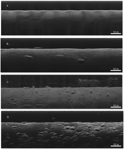FIGURE 2. Side-scan sonar images of the four culvert density categories within a 30-m radius: (A) category 0 = zero culverts, (B) category 1 = 1–50 culverts, (C) category 2 = 51–100 culverts, and (D) category 3 ≥ 101 culverts.