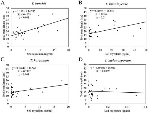 Figure 10. Linear regression analysis of Tuber spp. mycelial biomass and the inoculated seedling total stem length. (A) Tuber borchii; (B) Tuber himalayense; (C) Tuber koreanum; and (D) Tuber melanosporum.