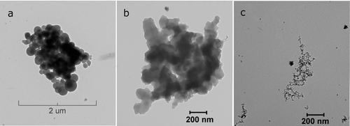 FIG. 6 TEM images of soot particles generated from combustion of C3H8/O2/Ar mixtures, φ = 8.0, tailored experiment: (a, b) 1631 K, 2.9 atm, 57% EC; (c) 1883 K, 2.4 atm, 91% EC.
