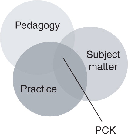 Figure 1. The Shulman model of teacher knowledge in which PCK is presented as a unique knowledge domain.