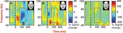 Figure 2. Time-frequency plots for a significant voxel in BA 18 for a representative individual demonstrate: (A) A power decrease at approximately 80–150 ms within the 50–80 Hz frequency range for the angry face stimuli; (B) The absence of such an effect in the neutral face stimuli time-frequency plot; and (C) The absence of such an effect in the participant's ‘grand-averaged’ time-frequency plot for the angry stimuli. This demonstrates that the power decrease observed for the angry face stimuli reflect an induced (not evoked) response. In each plot, the stimulus appeared on screen at time zero, and the red/blue colors represent percent change in power.