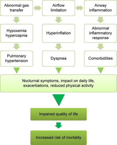 Figure 1 Diagrammatic representation of the different features of COPD and of their mutual relationships, converging toward impairment of QoL and increased risk of mortality.