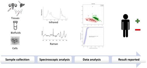 Figure 4. General workflow of clinical spectroscopy.