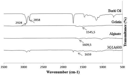 Figure 4. FTIR spectra to sample coded as 3G1A600 (3:1 g/100 g gelatin:alginate at 600 rpm) and pure gelatin, alginate, and buriti oil.