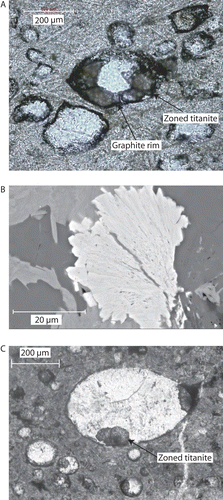 Fig. 5  (A) Photomicrograph in plane polarised light showing spheroids in OU 74178. Note dark black graphite rim on edge of spheroids and titanite growing from edges of spheroid towards centre. (B) SEM backscattered electron photomicrograph showing radial morphology of a titanite grain contained within a spheroid. Titanite appears to nucleate from a point on the bottom right of photomicrograph. (C) Photomicrograph in plane polarised light showing spheroids in OU 74178. Note zoning within titanites and both quartz (dominant infilling material in large, central spheroid) and potassium feldspar (right-hand side of large, central spheroid).