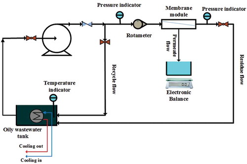 Figure 3. Schematic diagram of MF experimental setup.